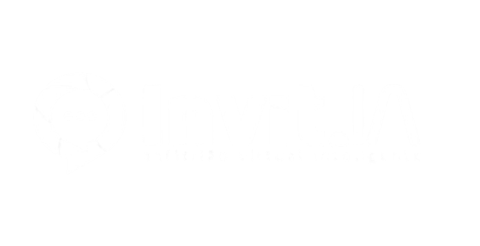 Desenvolvedor